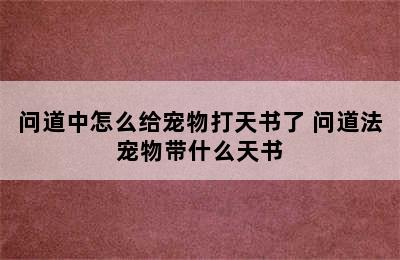 问道中怎么给宠物打天书了 问道法宠物带什么天书